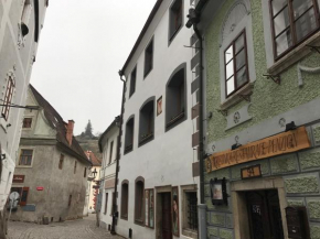  Apartments Dlouhá 93  Чешский Крумлов